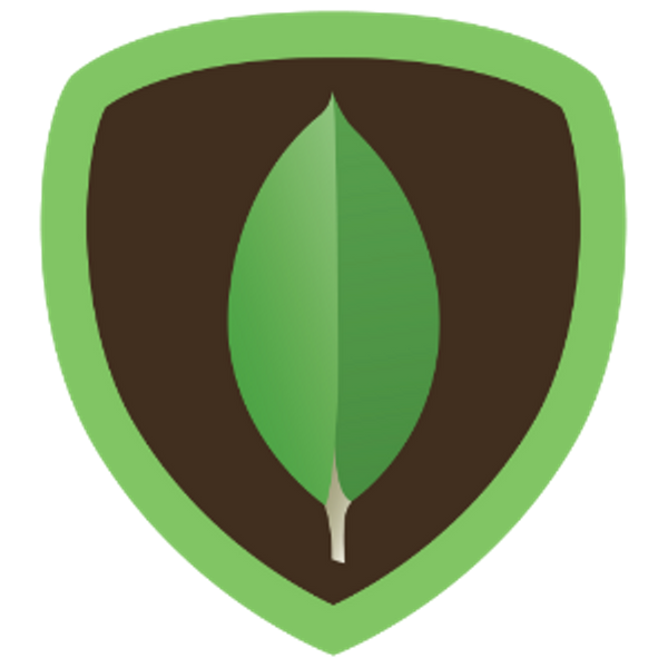 Express Logo